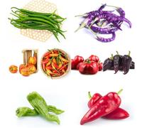 semi di chile giovani peperone picante di balcone 150pcs