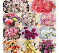 Semi di chiodi di garofano - arredamento del soggiorno esotico semi selvatici resistenti per giardini rocciosi vecchie varietà estivi decorazioni 650pcs