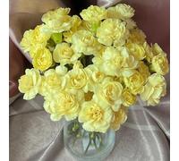 semi di chiodi di garofano giardino decorazione interni prato selvaggio, autunno, perenne balcone serra arbusto farfalle perenne resistenti 120pcs