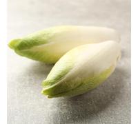 Semi di cicoria biologici, semi di radicchio rare Cichorium intybus, semi di orto sul balcone 100pcs