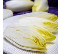 Semi di cicoria biologici, semi di radicchio rare Semi di Cichorium intybus, resistenti per il giardino biologici antiche varietà 400pcs