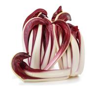 Semi di Cicoria,Perenni Resistenti,Serra e Balcone,per Esterno 250pcs