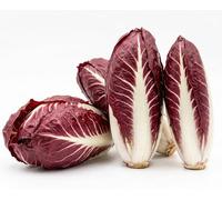 Semi di Cicoria Rossa di Treviso 6g | Cicoria da Coltivare per Orto, Vaso e Balcone | Alta Germinazione, Crescita Veloce | Semi Ortaggi per Orto Domestico