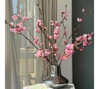 Semi di ciliegio, semi di varietà antiche autunnali dalla resistente Le da giardino roccioso sono resistenti 5pcs