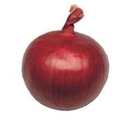 Semi di Cipolla di Tropea Tonda, Calabrese, Uso Esterno, Dolce, Italiana, Tradizionale