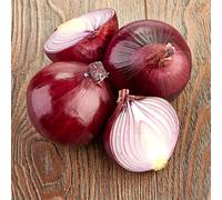 semi di cipolla invernale - appartamento balcone antiche varietà rare 50pcs