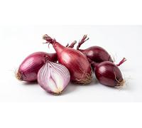 Semi di Cipolla Tropea Lunga | Molteplici Semi da Orto per Cipolla Rossa Allungata | Sementi da Piantare in Orto, Giardino, Vaso e Balcone
