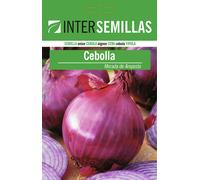 Semi Di Zucca Buon Gusto IN Busta Originale Certificato Vegetale