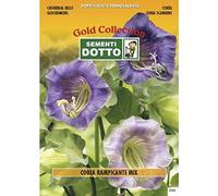 Semi di COBEA in Mix - h cm 400