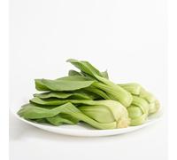 semi di colza da balcone resistenti semi di ortaggi interni resistenti per giardino, uomini, 500pcs