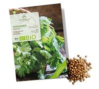 Semi di coriandolo biologiche - Semi di erbe aromatiche da coltivare in cucina, sul balcone, sul orto rialzato e in giardino