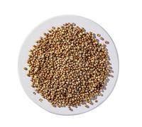 Semi Di Coriandolo Biologici 1 Lb By Starwest Botanicals