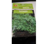 Semi Di Coriandolo Cilantro 700 Circa. Coriandrum Sativum