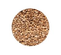 Semi di Coriandolo per Cucina - 1 kg