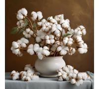 semi di cotone, biologici, perenni, resistenti, resistenti all'esterno, per balcone e giardino, 80pcs