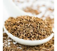 Semi di cumino, Cuminum cyminum, da balcone resistenti semi da giardino 100pcs