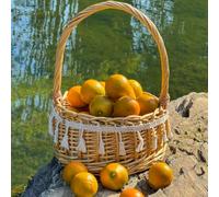 Semi di di kumquat - semi da da colonnari esotiche fresca frutteto colonnare vecchie varietà rari balcone nani 200pcs
