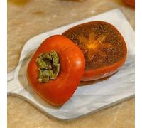 semi di Diospyros digyna resistenti colonnare giardino roccioso cachi nero acquistare colonnari per appassionati di 20pcs