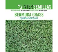 Semi Di Erba Bermuda Grass (Cynodon Dactylon Comune) Pildorata 250 G INTS