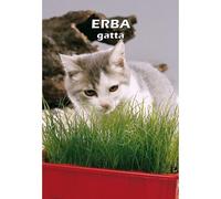 SEMI di ERBA GATTA