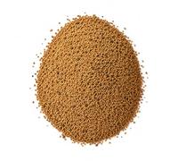 Semi di Erba Medica Alfalfa 500gr | Germogli di Medicago Sativa Pronta da Seminare | Ideale per Seminare Terreni, Aiuole, Prati, Giardini e Terrazzi