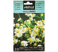 Semi di erbe di Batlle - Camomilla Camomila (Semi - 20-40cm)