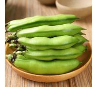 Semi di fava,belle in vaso perenne resistente,perenne,balcone in serra da giardino 10pcs