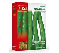 Semi di Fava da Orto Aguadulce Supersimonia 1 Kg