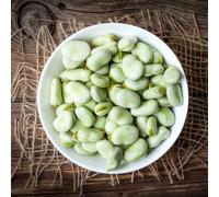 Semi di fava,regali per gli amanti del giardino perenne resistente,perenne,balcone in serra vasi per 5pcs