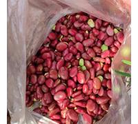 Semi di fava,semi di da appartamento,resistenti da balcone,decorazione da giardino esterno semi biologici 10pcs