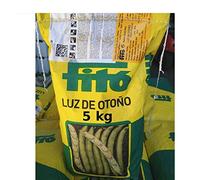 Semi di fave precoci LUZ DE OTONO 5 kg