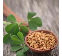 semi di fieno greco vecchie varietà esotico da balcone verdi giardino selvatiche semi di aromatiche per giardino aromatiche 50pcs