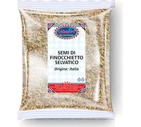 Semi di Finocchietto Selvatico Naturale Essiccati al Sole - Busta da 100 gr | Gluten Free Vegan | Pianta Aromatica Naturale per Liquori e Tisane - Aroma intenso, Qualità Premium (Finocchietto)