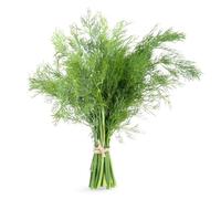 semi di finocchio biologici, Foeniculum vulgare, semi di aromatiche da giardino 200pcs