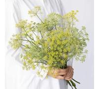 Semi di finocchio, biologici, varietà antiche giardino interno decorazione esterna balcone rialzato con letto antiche varietà 250pcs