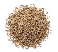 Semi di Finocchio Interi 120g - Spezia Naturale Pura per Tisane Digestive, Sgonfianti & Benessere Intestinale | Max Qualità, Aroma per Cucina e Infusi Aromatici.