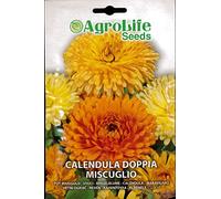 SEMI DI FIORI: CALENDULA DOPPIA MISCUGLIO IN BUSTINA