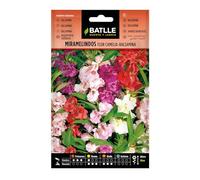 Semi di Fiori - Miramelindi Fiore Camelia - Balsamina - Batlle