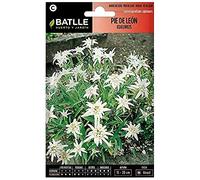 Semi di Fiori - Piedino di Leone - Edelweis - Batlle