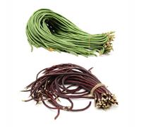 semi di frigoli giardino, asparago frigoli letto da balcone medicinali 200pcs