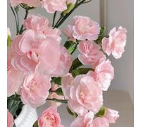 semi di garofano - Dianthus - giardino roccioso giardino tappezzante resistente d'appartamento esotiche all'aperto in vaso, 550pcs