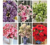 Semi di garofano, perenni di garofano selvatico, da balcone per luoghi soleggiati semi di da appartamento rare 350pcs