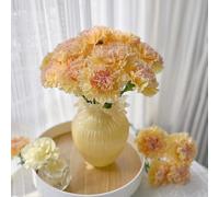 semi di garofano,perenni resistenti e perenni vasi per,per luoghi soleggiati da balcone,da giardino resistenti 300pcs