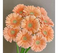 semi di gerbera resistenti, perenni, giardino, pietra resistenti da balcone, 100pcs
