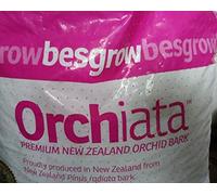 SEMI DI GERMINAZIONE: Orchiata Nuova Zelanda Orchid Bark - Super 3/4"- 1" - 1 se