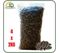SEMI DI GIRASOLE CON GUSCIO GRANDI MIGNINI 2KG PER UCCELLI PAPPAGALLI E VOLATILI