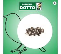 Semi di Girasole Striato Piccolo Bonus Sementi Dotto 12kg Mangime per uccelli