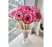 Semi di gra resistenti,a crescita rapida da giardino,facile da piantare semi di perenni resistenti decorazione da giardino per esterni 300pcs