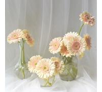 Semi di gra resistenti,semi di recisi regali per gli amanti del giardino,a misura di ape vaso per 200pcs