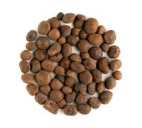 Semi di Guaranà Interi Biologici - Paullinia cupana Bacca Brasiliana